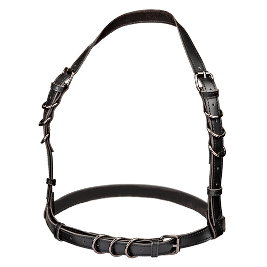 \"Euphoria Collection Halter Buckle Harness - Black SE3101053\"