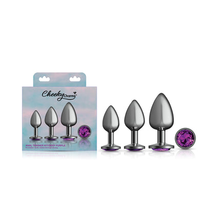 Cheeky Charms - Metal Butt Plug Gunmetal - Round - Deep Purple - Anal Trainer Kit