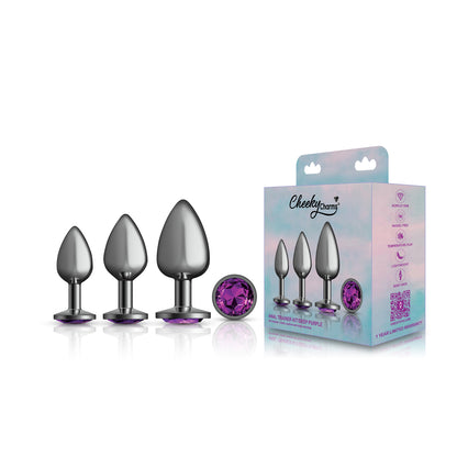 Cheeky Charms - Metal Butt Plug Gunmetal - Round - Deep Purple - Anal Trainer Kit