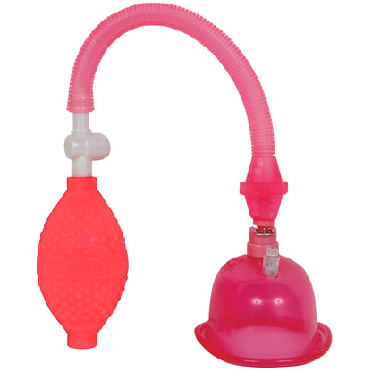 \"Pussy Pump in a Bag - Pink DJ5006-02-BG\"