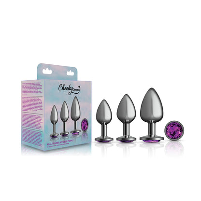 Cheeky Charms - Metal Butt Plug Gunmetal - Round - Deep Purple - Anal Trainer Kit